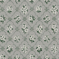 Lovisa, Gray