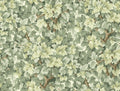 Lilla Dockekulla Gammalsvenska Papper, Green