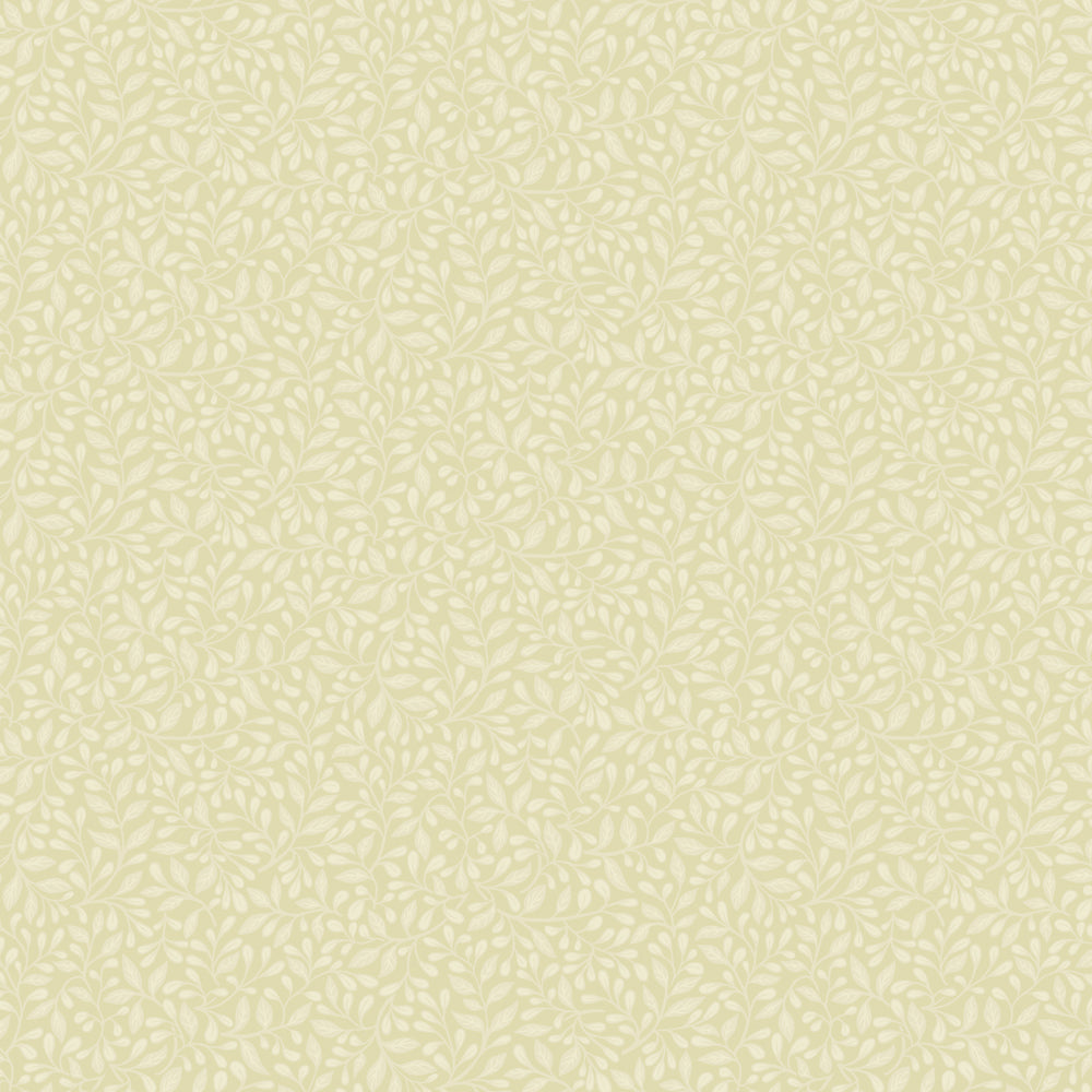 Adam – 12323