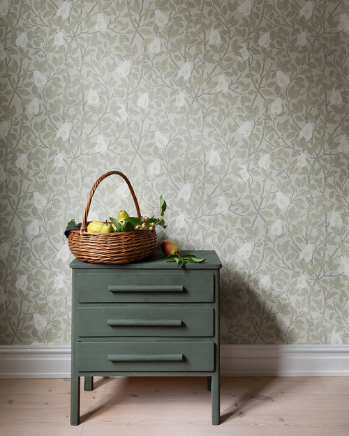Pirum – 13101
