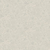 Wilma – 13125