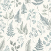 Betula – 15929