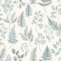 Betula – 15929