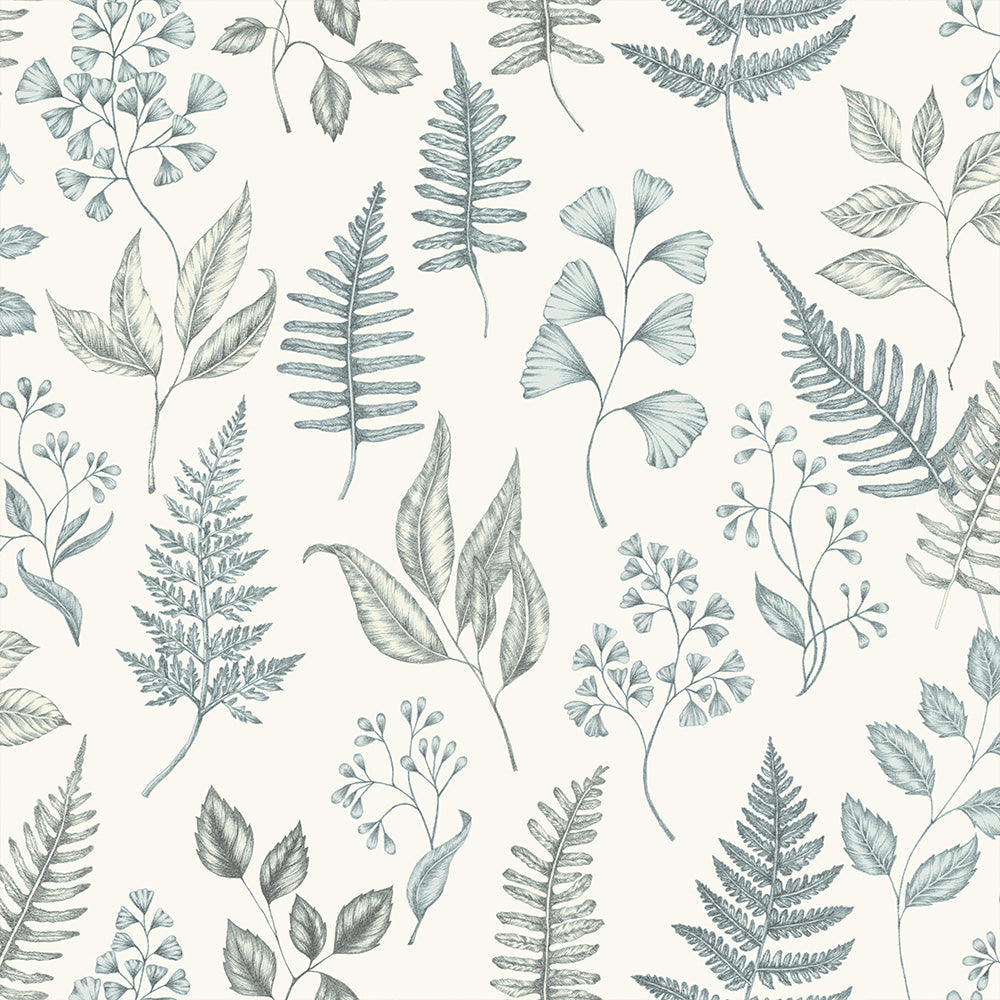 Betula – 15929