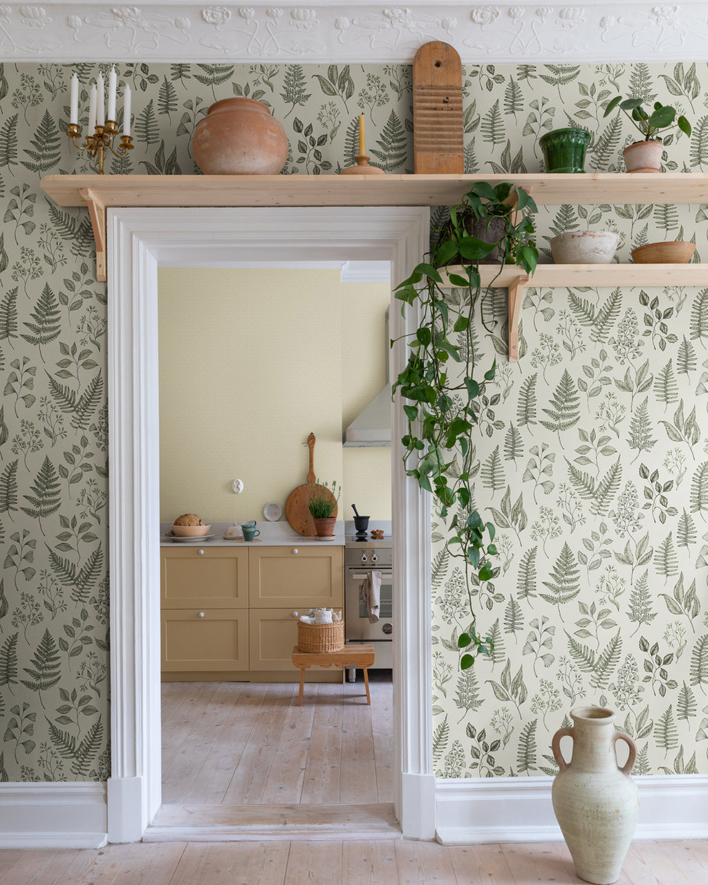 Betula – 15929