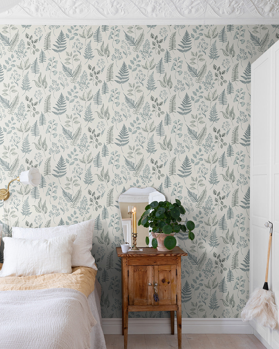 Betula – 15929