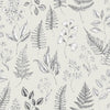 Betula – 15930