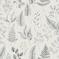 Betula – 15930