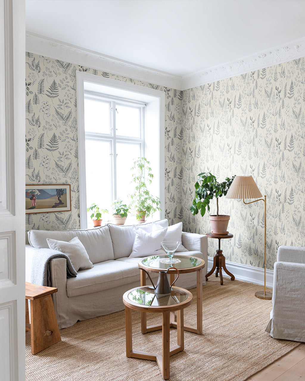 Betula – 15931