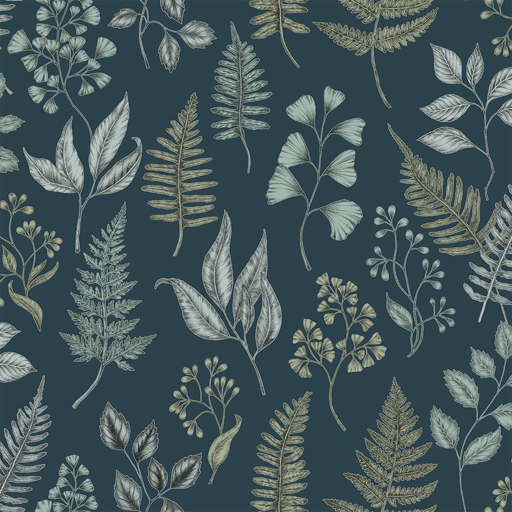 Betula – 15933