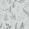 Betula – 15934