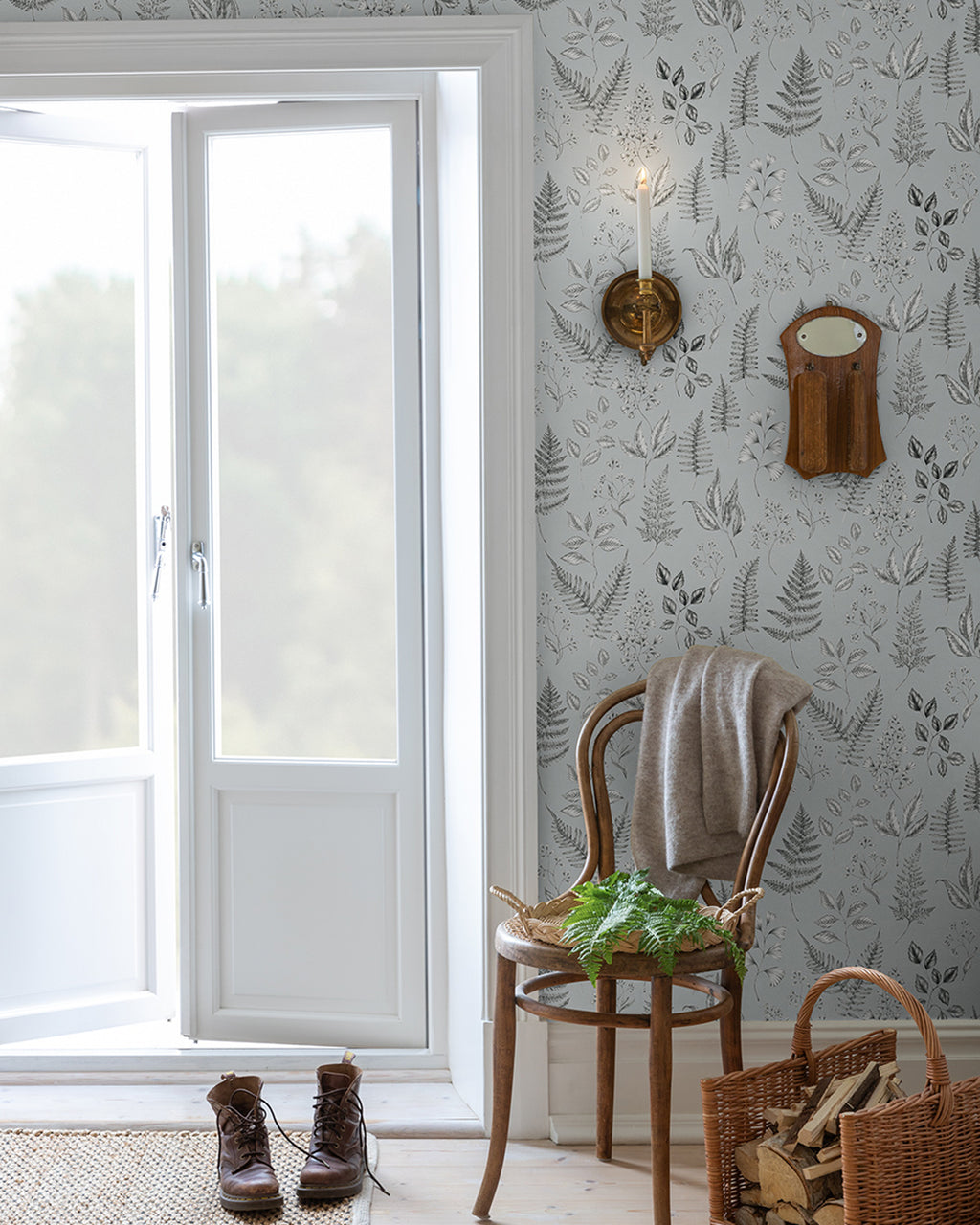 Betula – 15934