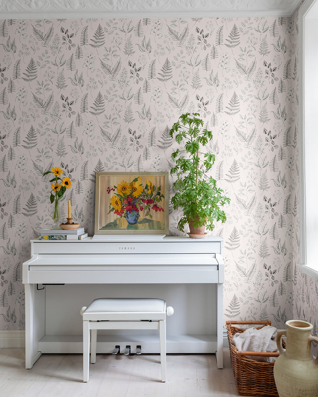 Betula – 15935