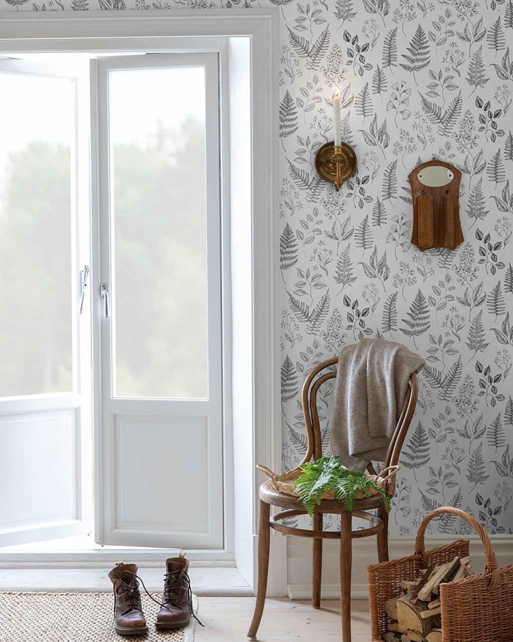 Betula – 15936