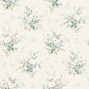 Olivia – 16001