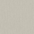 Fossil – 17205
