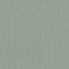 Eucalyptus – 17218