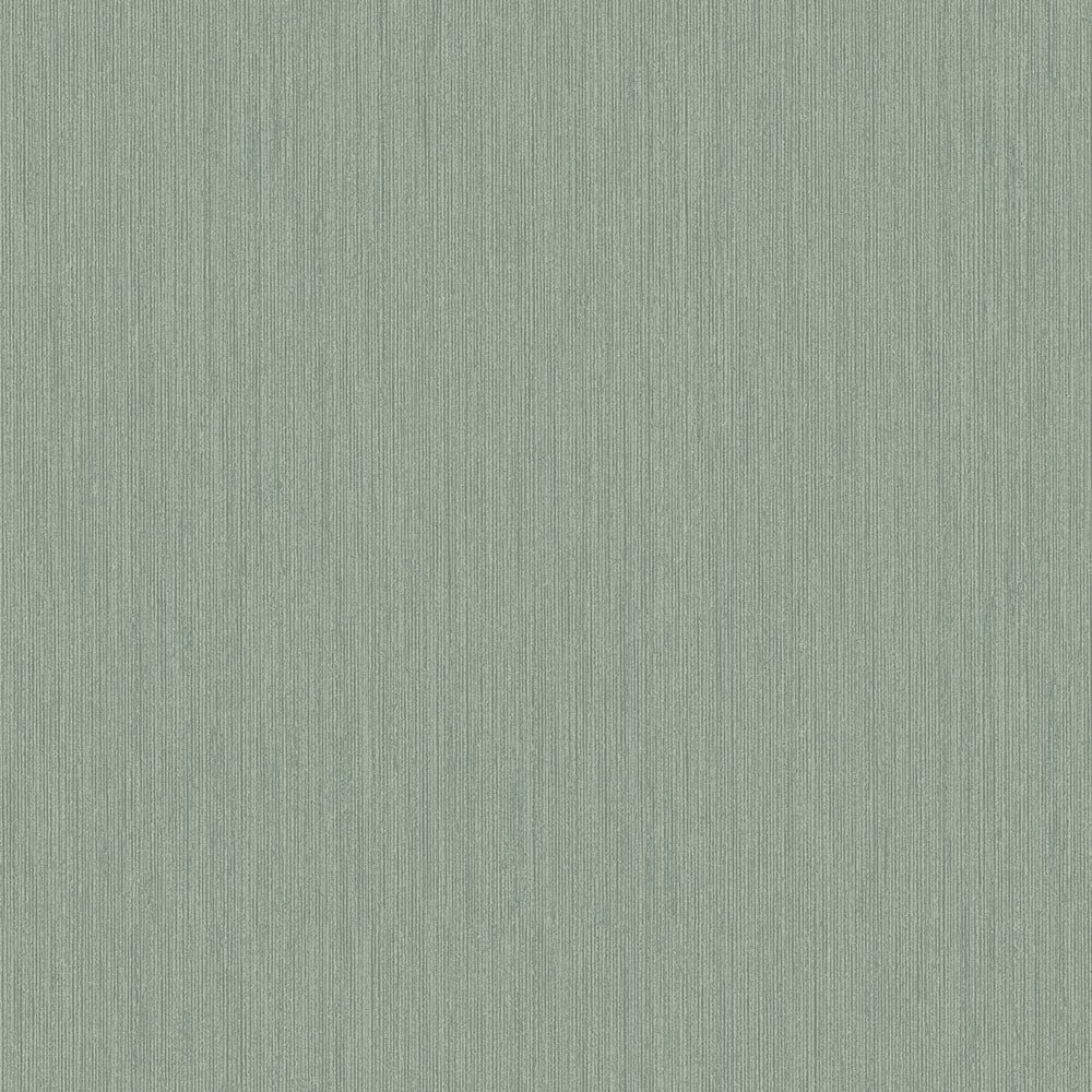 Eucalyptus – 17218