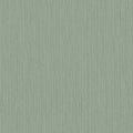 Eucalyptus – 17218