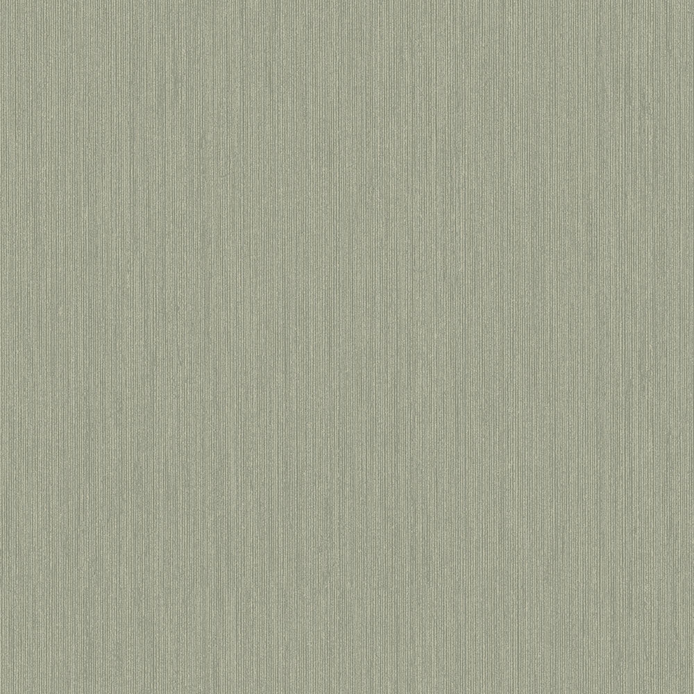 Vass – 17221