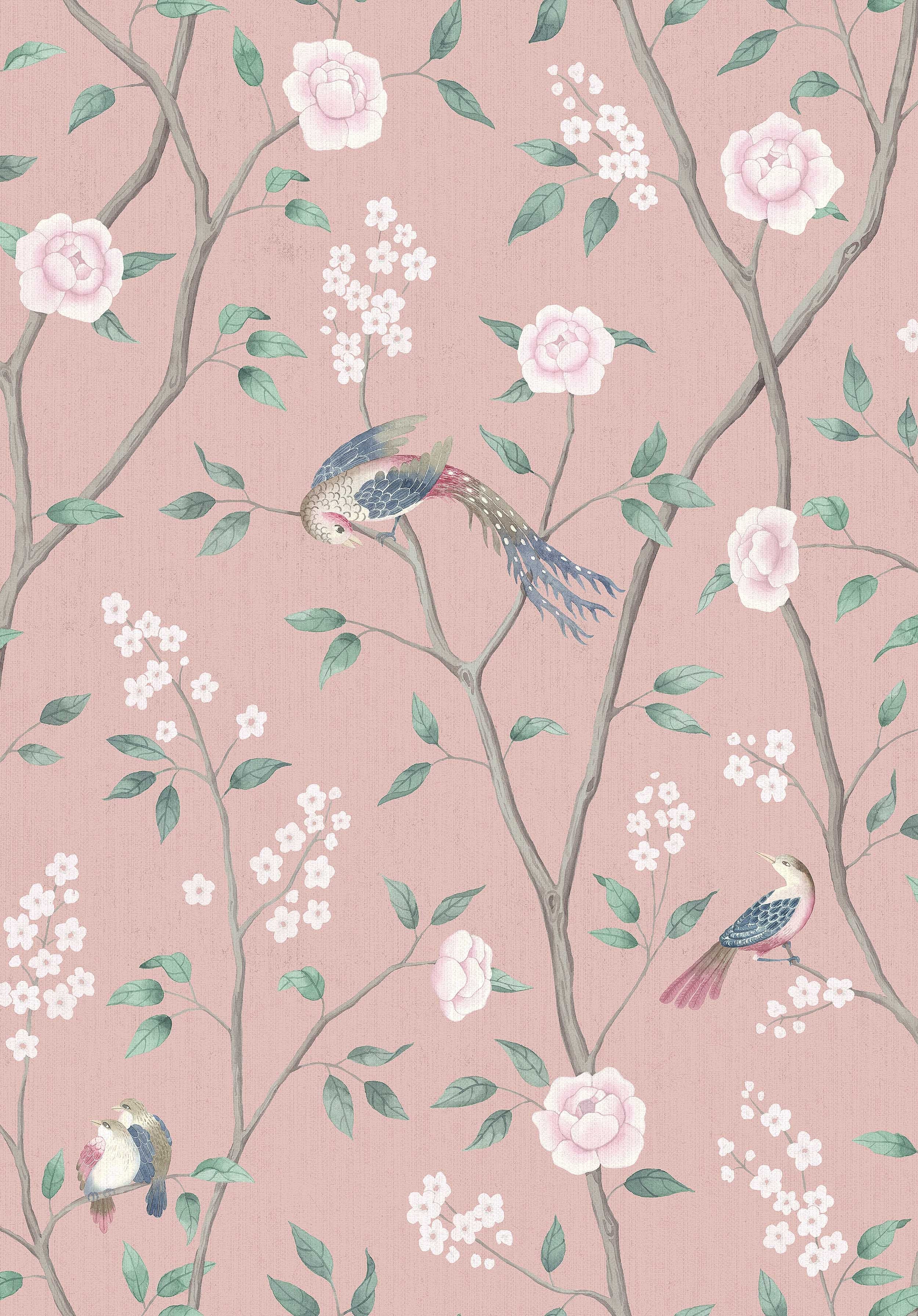 Paradise Birds 1901 Pink wallpaper