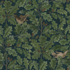 In the Oak, Multi