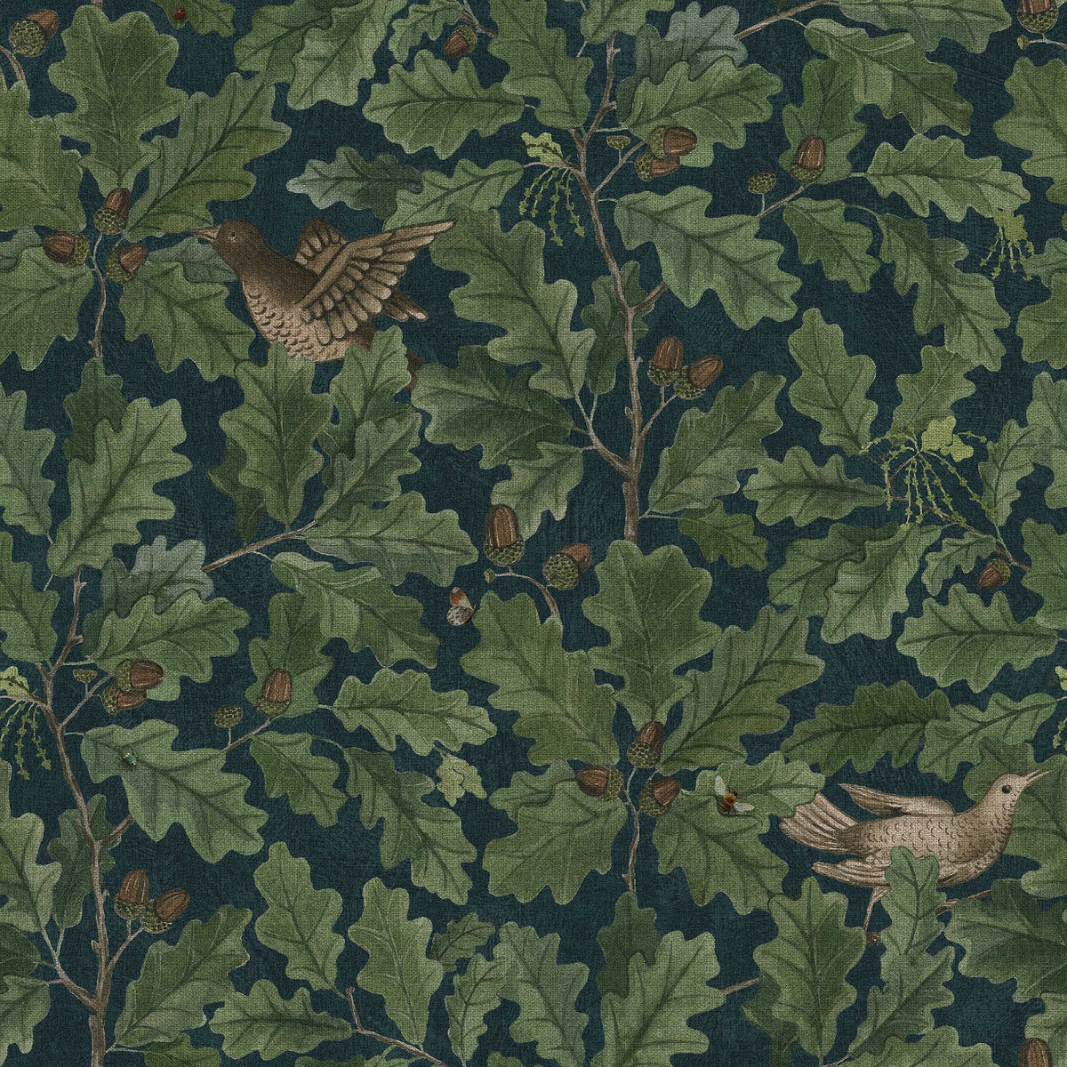 In the Oak, Multi