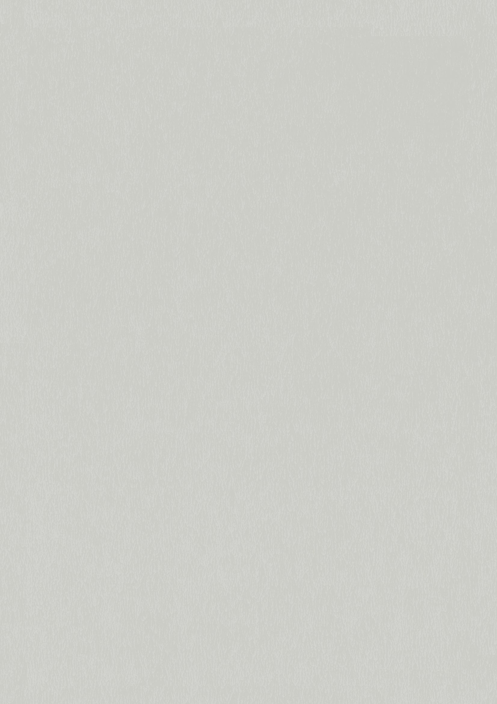 Qvintus, Gray/Silver