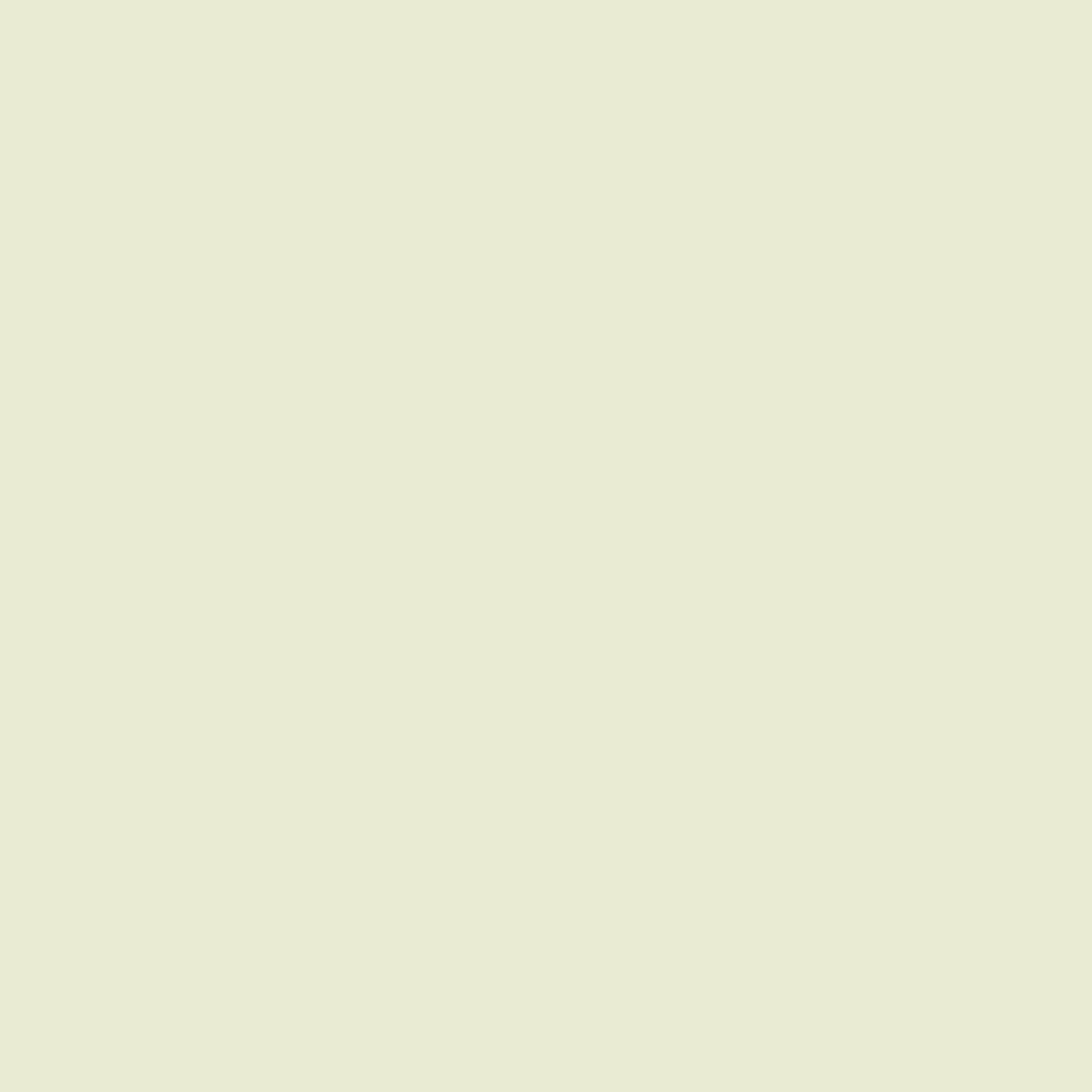 Qvintus, Green/Beige