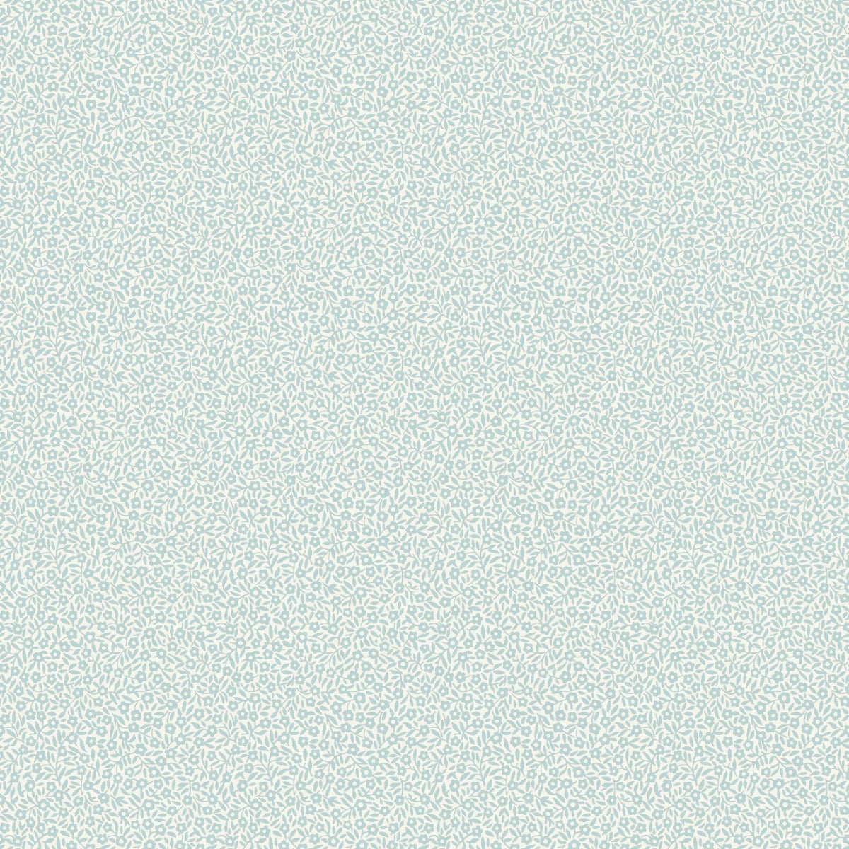Smulan, White/Blue
