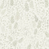 Vera – 27011