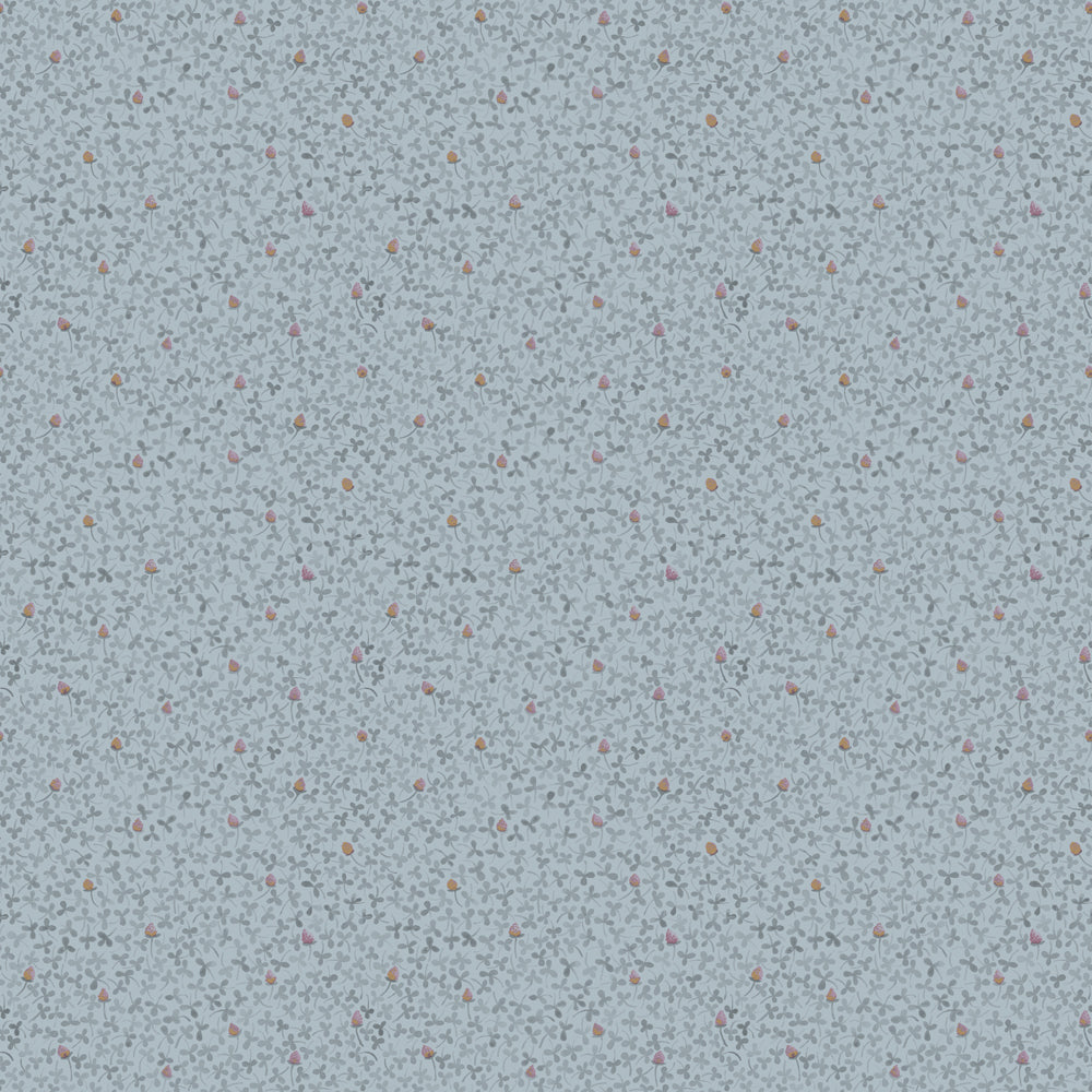 Clover – 28011