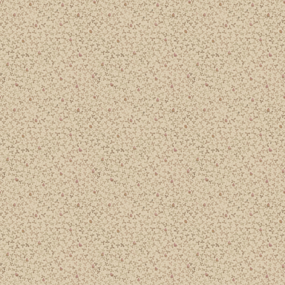 Clover – 28012