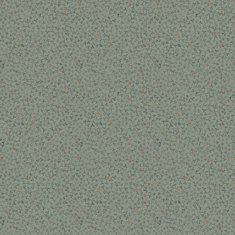 Clover – 28013