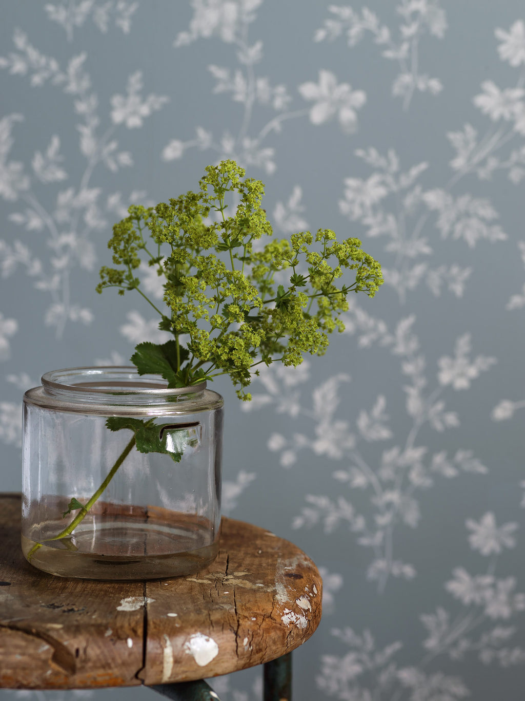 Ängsblomma, Blue