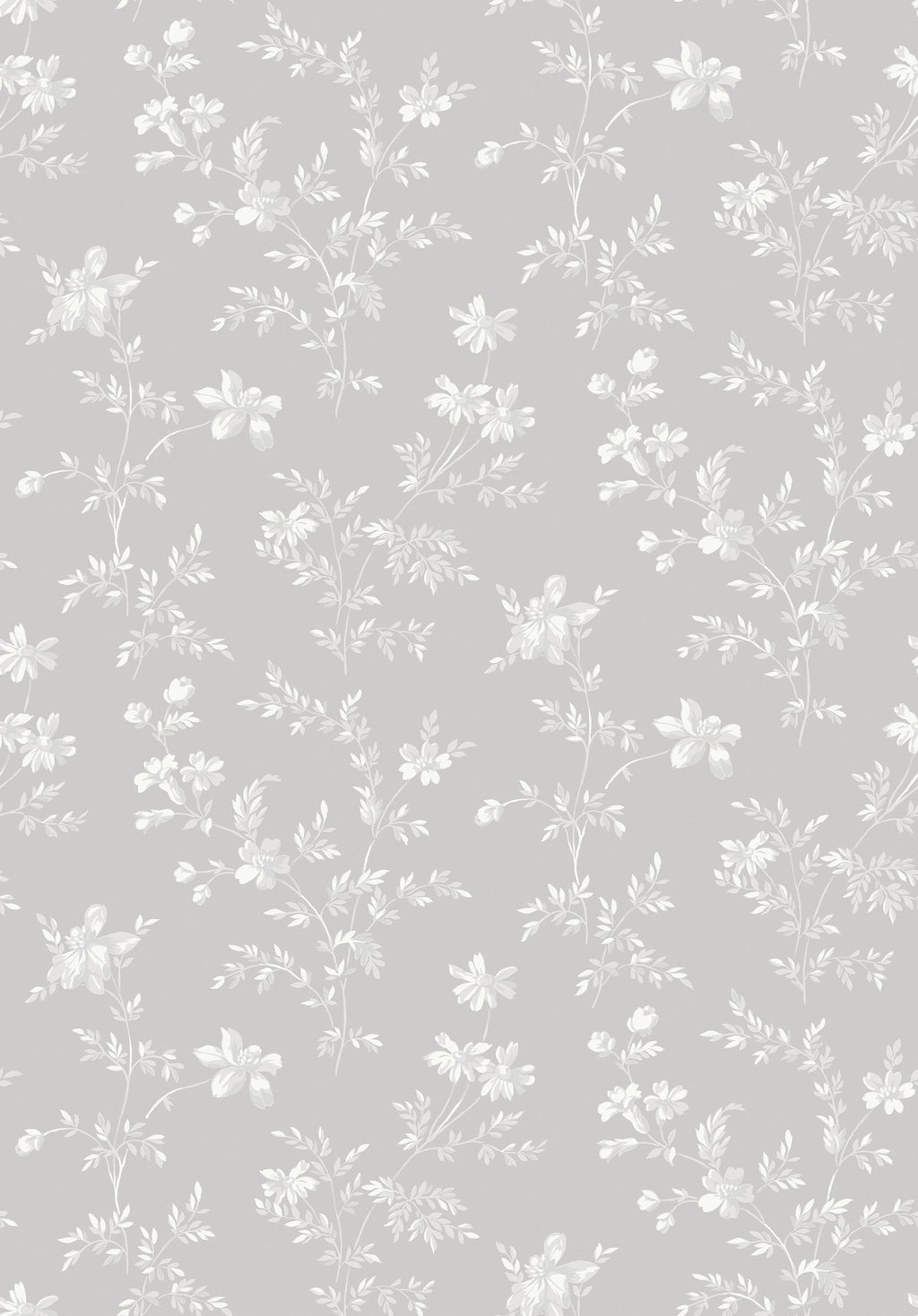 Ängsblomma, Grey