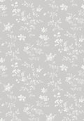Ängsblomma, Grey