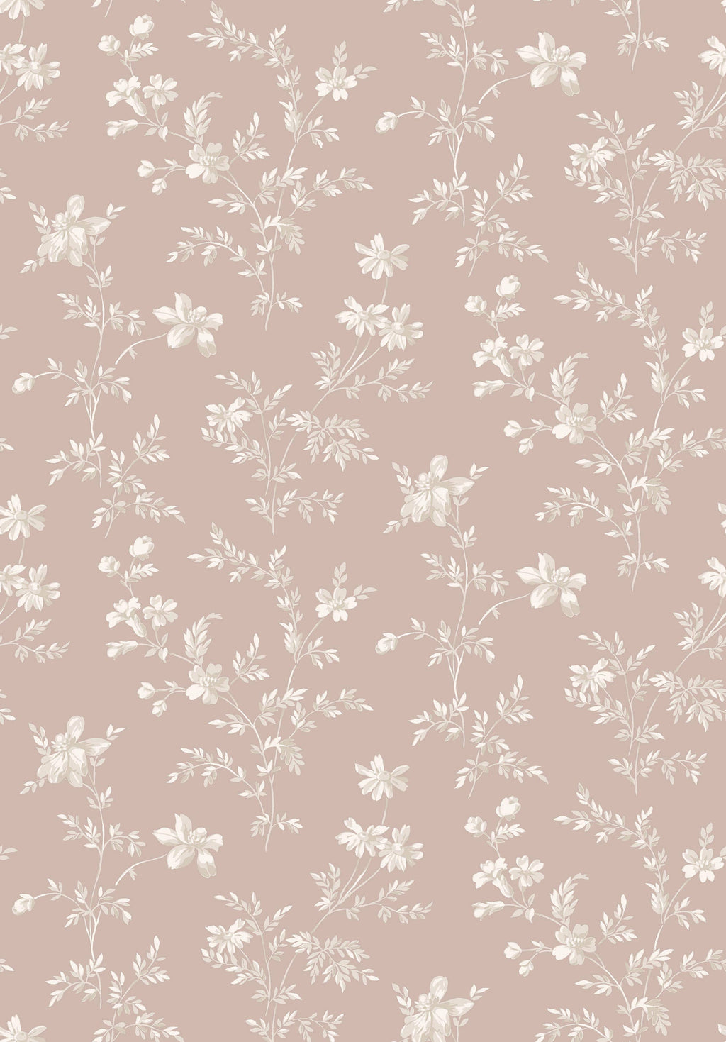 Ängsblomma, Pink