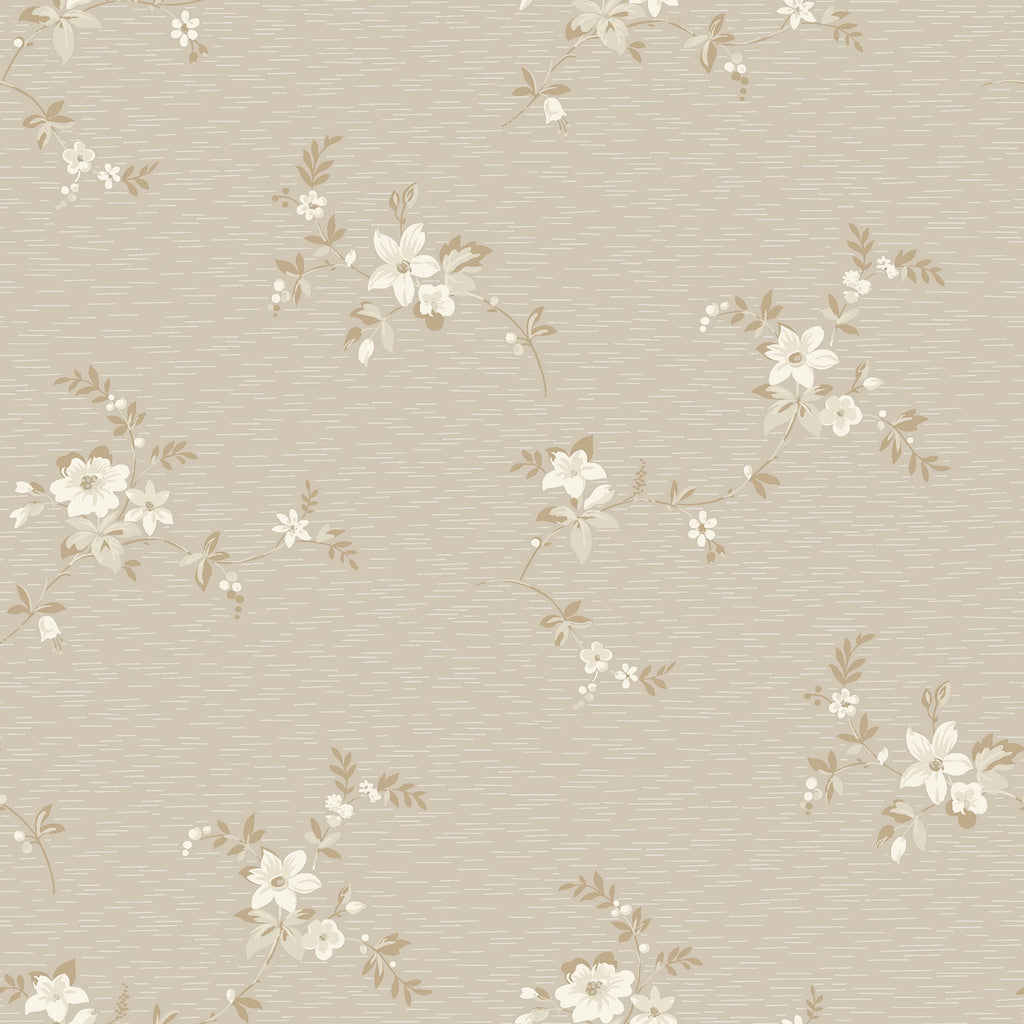 Saga, Beige