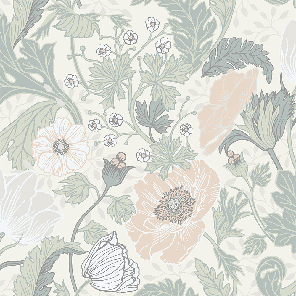 Anemone – 33000
