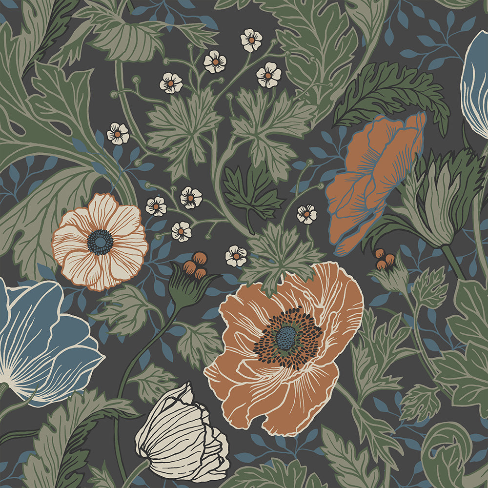 Anemone – 33003