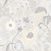 Anemone – 34032