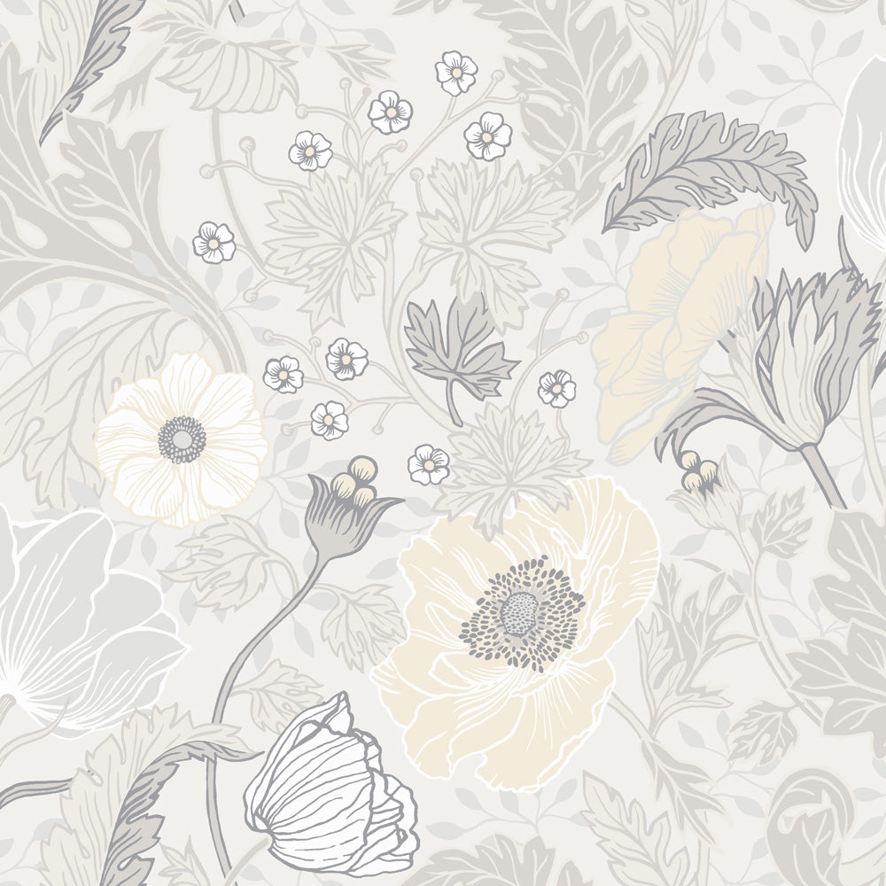 Anemone – 34032
