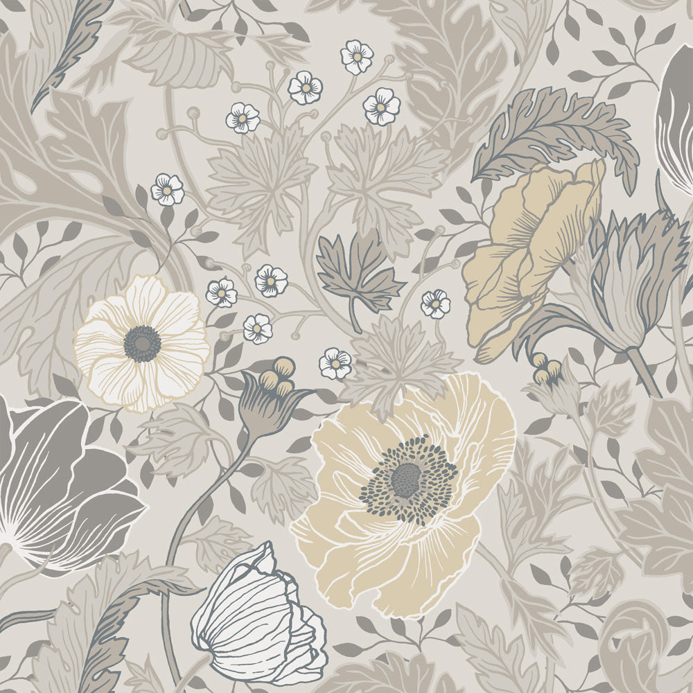 Anemone – 34033