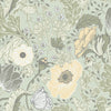 Anemone – 34034