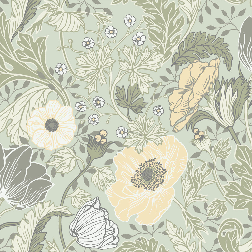 Anemone – 34034