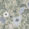 Anemone – 34035