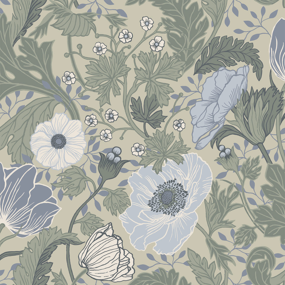 Anemone – 34035