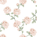 Praktpion, Pink