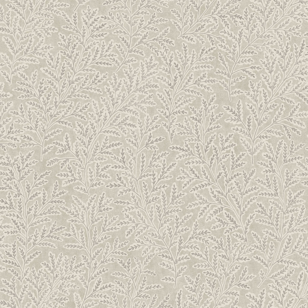 Molly´s Meadow, Beige